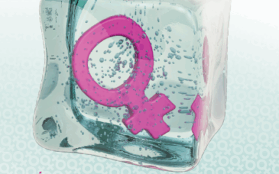 Journée GRECOT SMR le Jeudi 20 novembre 2025